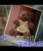 Filename=bscap84.jpg
Filesize=50KB
Dimensions=640x480
Date added=Mar 29, 2008 bscap84.jpg